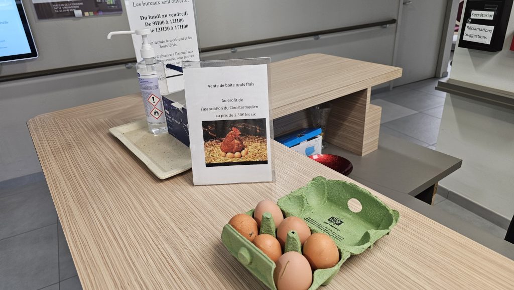Des poules… Dans les EHPAD !